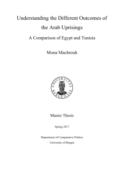 Understanding the Different Outcomes of the Arab Uprisings
