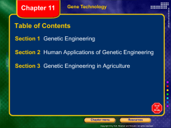 Chapter 11 - PowerPoint