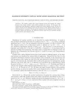 MAXIMUM ENTROPY COPULA WITH GIVEN