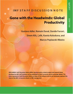 Gone with the Headwinds: Global Productivity