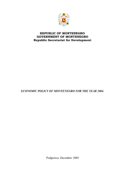 Economic policy of Montenegro for the year 2004
