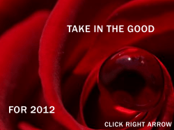 One More Thing - Logosynthesis