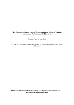 How Competitive Strategy Matters? Understanding the