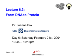 From DNA to Protein