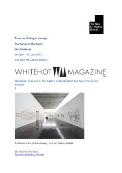 The New Art Gallery Walsall
