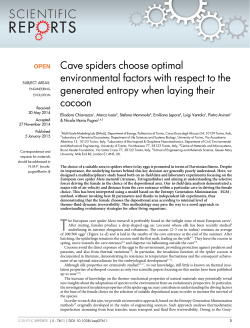 Cave spiders choose optimal environmental factors with
