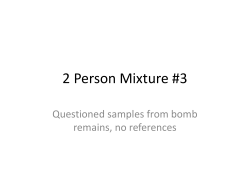 2 Person Mixture #3