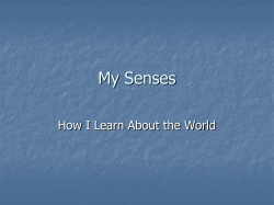 and Install Restart PowerPoint Create Play Slide Show