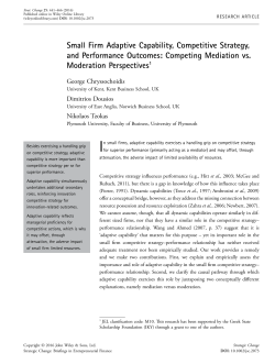 Small Firm Adaptive Capability, Competitive Strategy, and