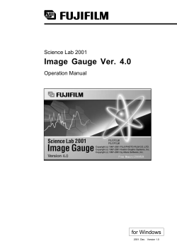Image Gauge Ver. 4.0