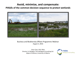 Avoid, minimize, and compensate
