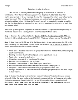 Grade Criteria
