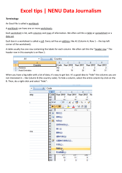 handout on using Excel