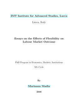Essays on the Effects of Flexibility on Labour Market Outcome