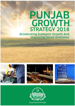 Punjab Growth Strategy 2018 - International Growth Centre
