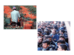 Mercati del Lavoro Europei