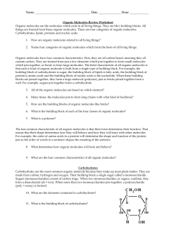 Biomolecule Review Worksheet