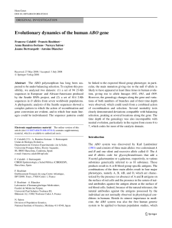 Evolutionary dynamics of the human ABO gene