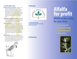 Alfalfa for profit