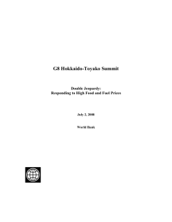 G8 Hokkaido-Toyako Summit