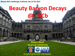 Beauty2014_Blusk_v2
