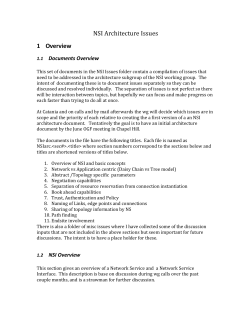 NSI Architecture Issues