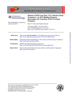 Promoter Determines the Function of the Proximal Promoters: An