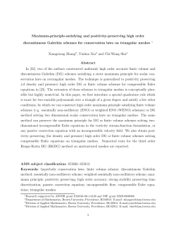 Maximum-principle-satisfying and positivity