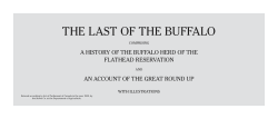 THE LAST OF THE BUFFALO