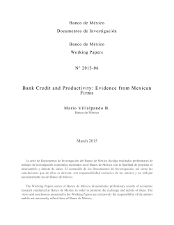Bank Credit and Productivity: Evidence from Mexican Firms