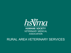 HSVMA-RAVS_volunteer..