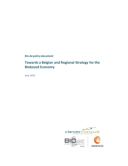 Towards a Belgian and Regional Strategy for the