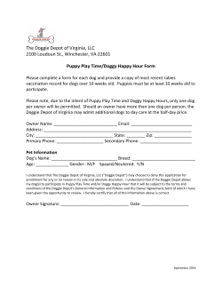 Puppy Play Time – Happy Hour Form
