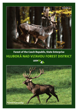 Hlubok&aacute; nad Vltavou Forest District
