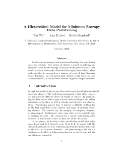 A Hierarchical Model for Minimum Entropy Data Partitioning 1