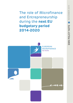 The role of Microfinance and Entrepreneurship during the next EU