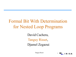 Formal Bit With Determination for Nested Loop Programs