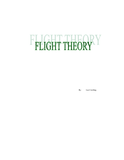 Flight Theory
