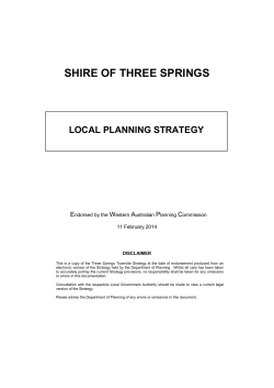 local planning strategy - Department of Planning