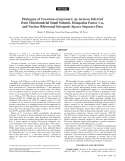 Mbofung, G. Y., Hong, S. G., and Pryor, B. M. 2007. Phylogeny of