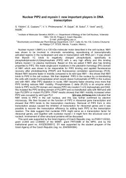 Nuclear PIP2 and myosin I: new important players in