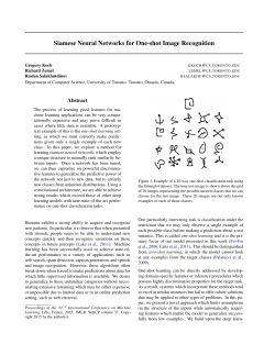 Siamese Neural Networks for One