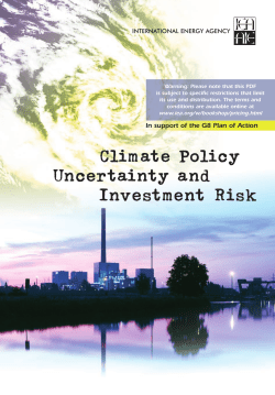 Climate Policy Uncertainty and Investment Risk