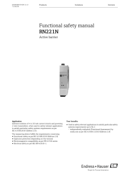 Functional safety manual RN221N