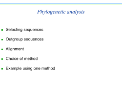 “Outgroup” sequences be included