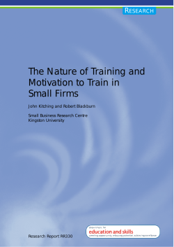 The Nature of Training and Motivation to Train in Small Firms