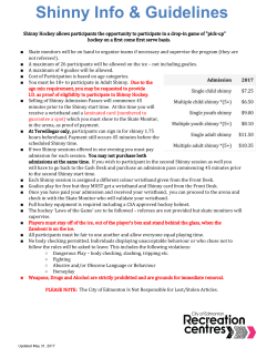 Adult Shinny Hockey Rules