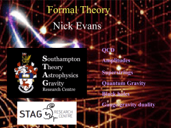 Formal Theory Nick Evans - Southampton High Energy Physics