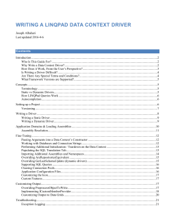 Documentation on writing a Custom Data