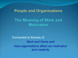 The Motivation of Work